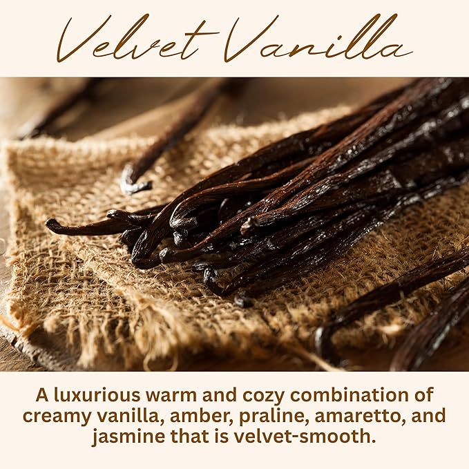 Velvet Vanilla Scented Candle, Many Scents to Choose from, All Natural Non-Toxic Soy Wax, Handmade in The USA (Velvet Vanilla)