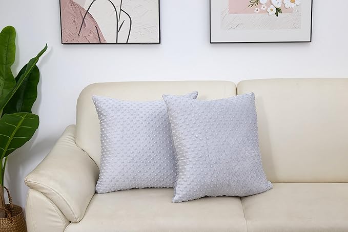 2 Packs Throw Pillow Covers, Neutral Decorative Couch Pillow Cover for Living Room Bed Sofa Rustic Farmhouse Boho Home Decor, Soft Plush Cushion Case Slipcover (Gray, 20"x 20")
