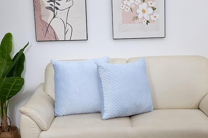 2 Packs Throw Pillow Covers, Neutral Decorative Couch Pillow Cover for Living Room Bed Sofa Rustic Farmhouse Boho Home Decor, Soft Plush Cushion Case Slipcover (SkyBlue, 22"x 22")