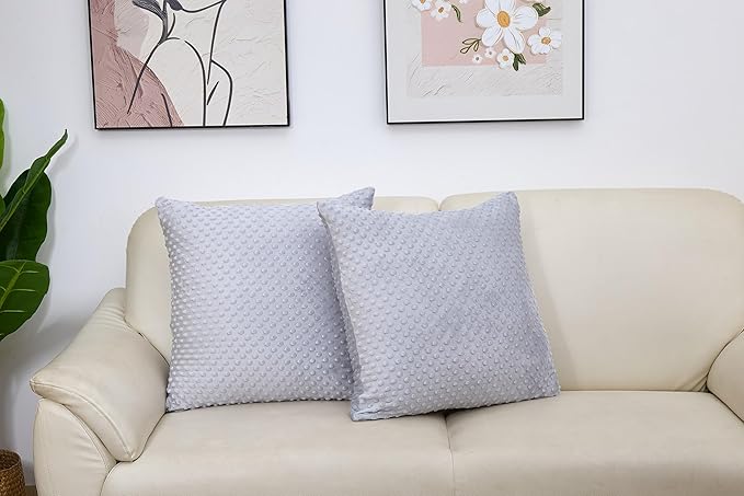 2 Packs Throw Pillow Covers, Neutral Decorative Couch Pillow Cover for Living Room Bed Sofa Rustic Farmhouse Boho Home Decor, Soft Plush Cushion Case Slipcover (Gray, 22"x 22")