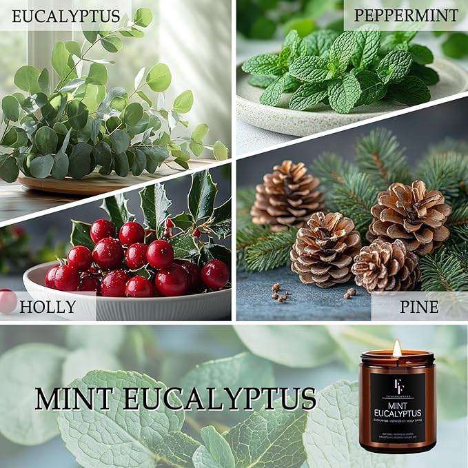 Mint Eucalyptus Candle, Scented Candle for Home Soy Wax Candle, Aromatherapy Candle Gift for Women Men, 50H Burns Long-Lasting, 7oz
