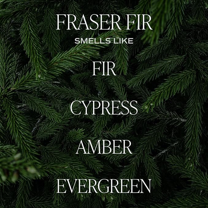 Sweet Water Decor Fraser Fir Soy Candle | Cypress, Evergreen, Cedar, and Fir Balsam Scented Candles for Home | 12oz Black Stoneware Jar, 60+ Hour Burn Time, Made in The USA