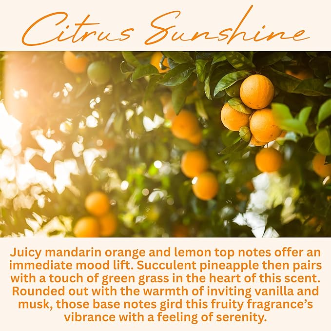 Wickless Candles for Candle Warmer Lamp, Many Scents to Choose, 100% Non-Toxic Soy Wax, Scented Candle Melts for Warming Plate, Handmade in The USA (Citrus Sunshine)