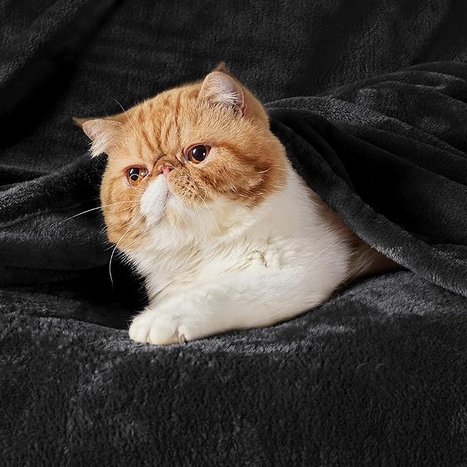 Bedsure GentleSoft Fleece Blankets King Size Black - Bed Blanket Soft Lightweight Plush Cozy Fuzzy Luxury Microfiber, 108x90 inches
