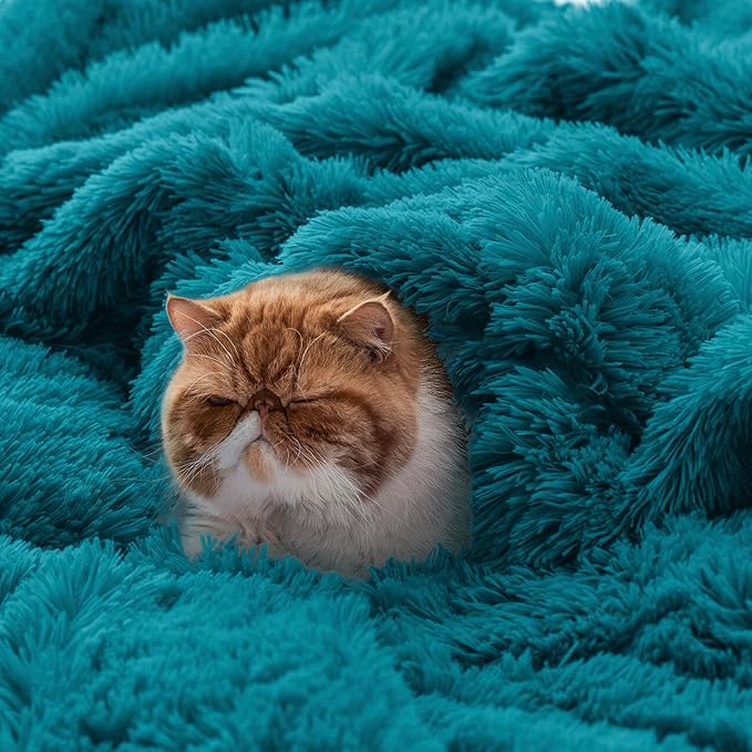 Bedsure GentleSoft Fluffy Turquoise Teal Throw Blanket, Teal Decor Cozy Gifts for Women Men, Soft Fuzzy Sherpa Fleece Plush Thick Warm Faux Fur Throws for Couch, Aqua Blanket Gifts for Mom, 50x60