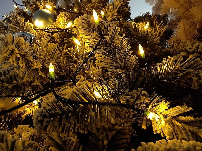 Christmas Light, 33ft 100 LED Battery Operated String Lights with Auto Timer & 8 Modes, Green Wire Outdoor Waterproof String Lights for Outdoor and Indoor Christmas Decor – Warm White