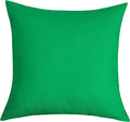 TangDepot Handmade Decorative Solid 100% Cotton Canvas Throw Pillow Covers/Pillow Shams, (26"x26", Bright Green)