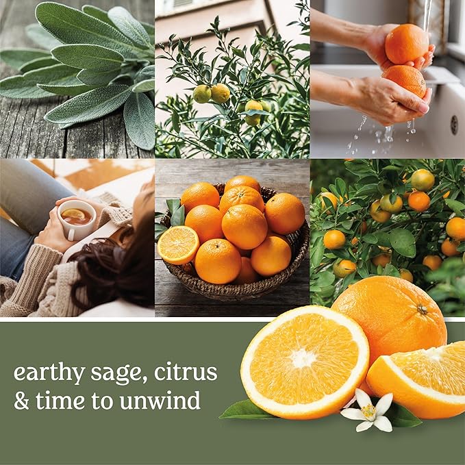 Yankee Candle ScentPlug Refill, Sage & Citrus, 1 CT (Pack of 4)