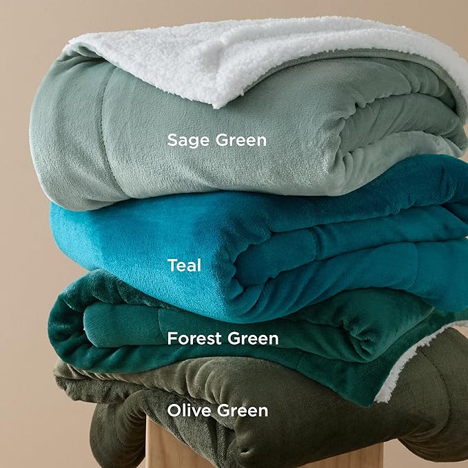 Bedsure GentleSoft Sherpa Fleece Blankets Queen Size for Bed - Thick and Warm Throw for Women and Men, Soft Fuzzy Plush Queen Blanket for Winter, Sage Green, 90x90 Inches