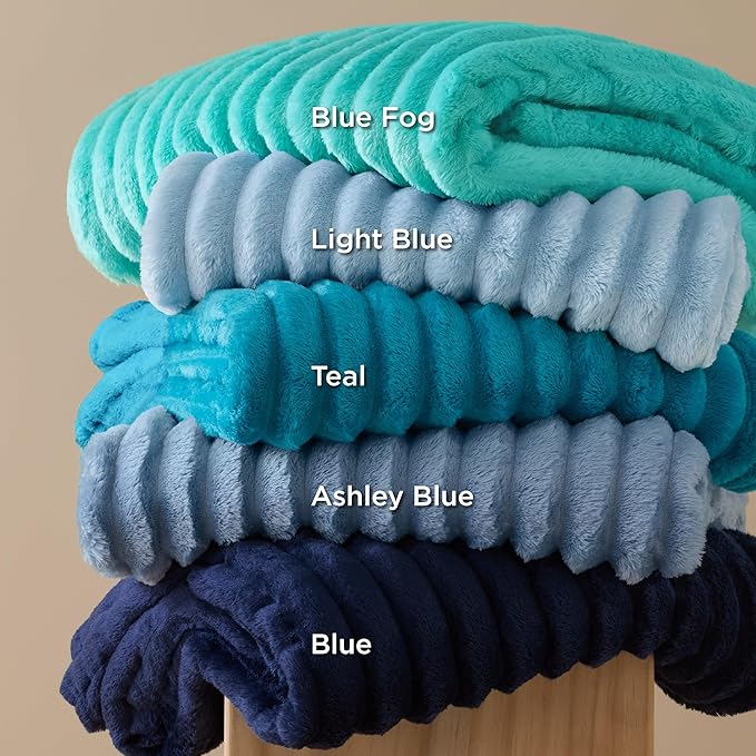 Bedsure GentleSoft Blue Full Blanket for Couch - Cozy Soft Blankets for Women, Cute Small Fleece Throws for Girls, Birthday Gifts for Women Decor Gifts, Light Blue, 84x90 Inches