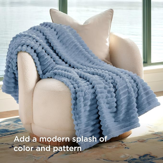 Bedsure GentleSoft Fall Throw Blanket for Couch - Cozy Soft Blankets for Women, Cute Small Throws for Girls, Ashley Blue, 50x60 Inches