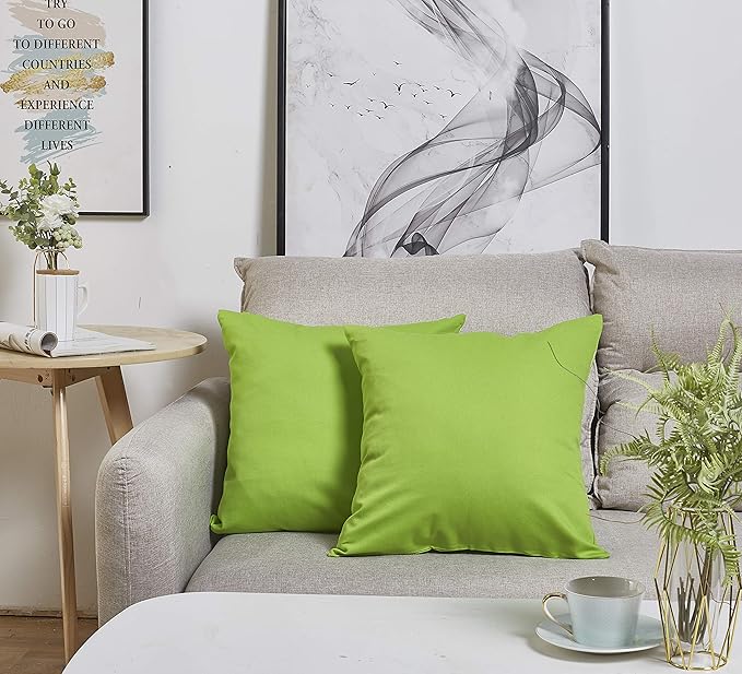 TangDepot Handmade Decorative Solid 100% Cotton Canvas Throw Pillow Covers/Cushion Covers, 45 Colors Available - (18" x18" , Apple Green, 2 Count (Pack of 1))