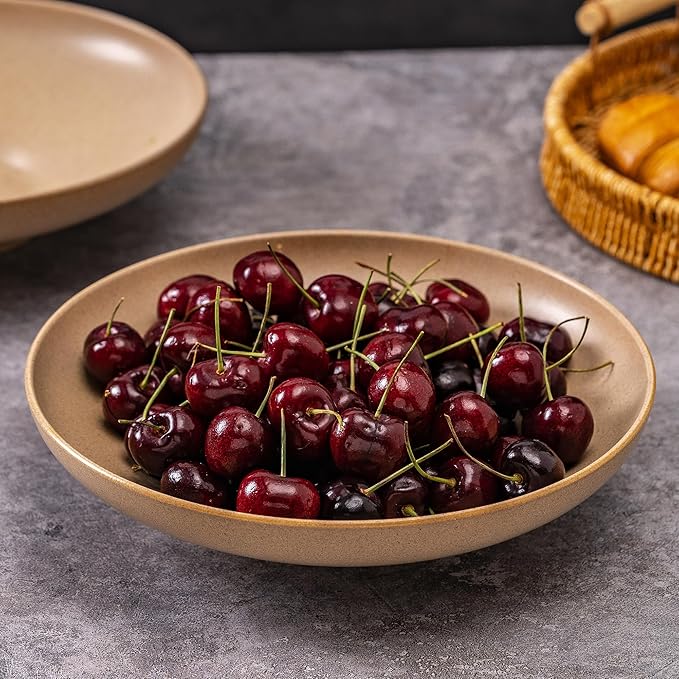 Ceramic Serving Bowls with Wooden Spoons Set of 2, Large Serving Bowl for Dinner Salad Soup Pasta Dessert Fish Fruit Chicken Bread, Oven Dishwasher Safe, 50oz Bowl for Entertaining, 9.75" Khaki
