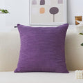 Home Brilliant 20x20 Throw Pillow Cover Soft Accent Pillow Cover Striped Plush Velvet Corduroy Cushion Case for Hanging Chair Patio Decor, 20 x 20 inch (50cm), Purple