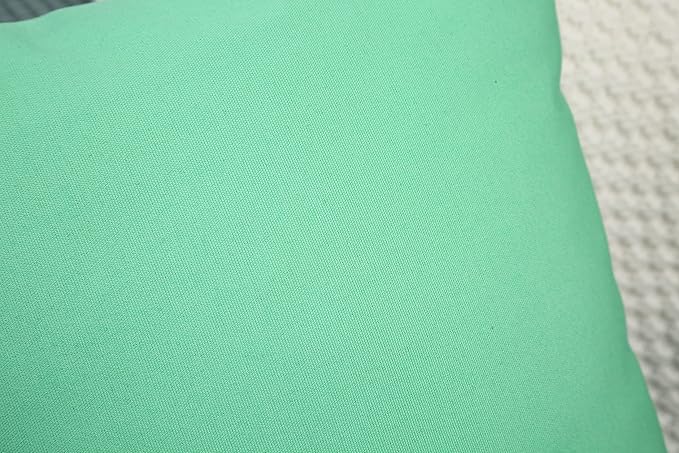 TangDepot Handmade Decorative Solid 100% Cotton Canvas Throw Pillow Covers/Cushion Covers, 45 Colors Available - (28" x 28", Mint Green)