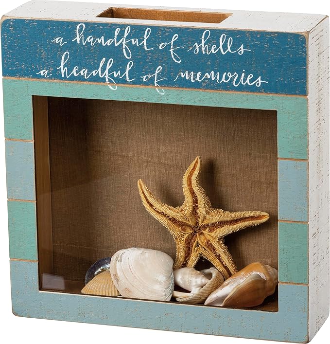 Primitives by Kathy Seashell Holder - Coastal Decor, Glass Display, Treasure Chest, Room and Bedroom Decor