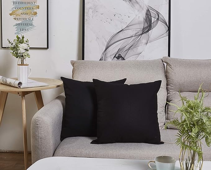 TangDepot Handmade Decorative Solid 100% Cotton Canvas Throw Pillow Covers/Pillow Shams, (24"x24", Black)